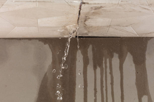 Professional Flood Damage Cleanup technician working in Parksville, KY